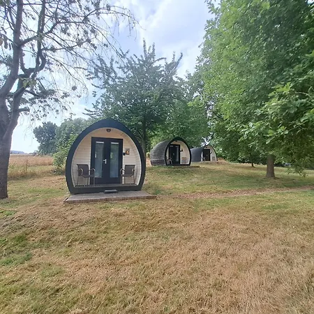 Natuurhuisje Uit De Kunst Kers Lodge Bingelrade